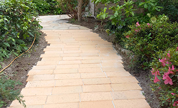 サムネール画像