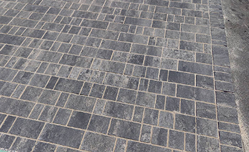 サムネール画像