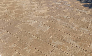 サムネール画像