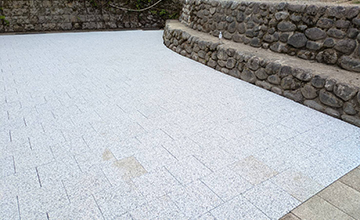 サムネール画像