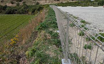 サムネール画像